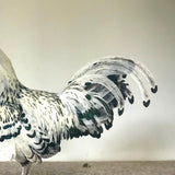 Ovos Galados de Hamburguesa