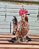 Ovos Galados de Belgian Mil Flores