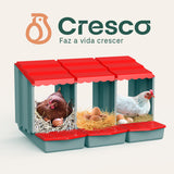 Ninho para Galinhas Poedeiras - Triplo