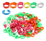 Kit 100 Anilhas Ajustáveis para Galinhas e Aves