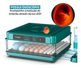 Chocadeira Automática Beltempo Bt-400 - 130 Ovos