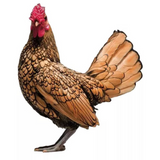 Ovos Galados de Sbrigth Dourada